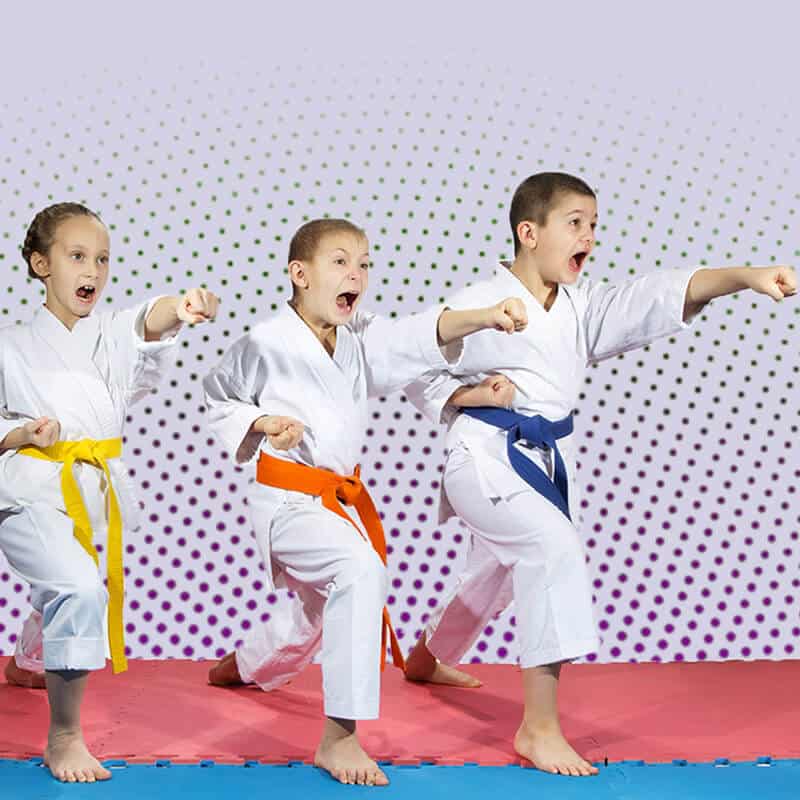 Martial Arts Lessons for Kids in Garner NC - Punching Focus Kids Sync
